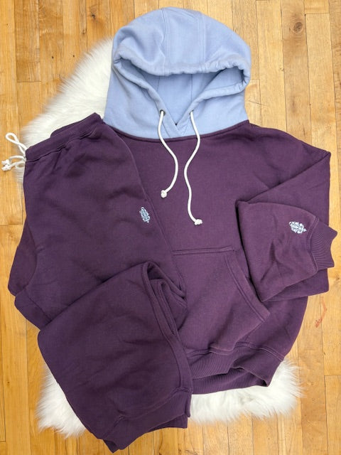FP Movement Final Call Colorblock Hoodie